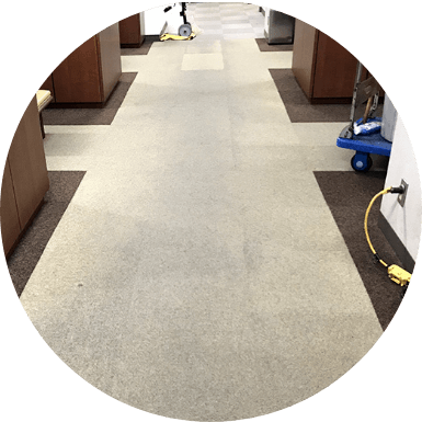 カーペット清掃イメージ